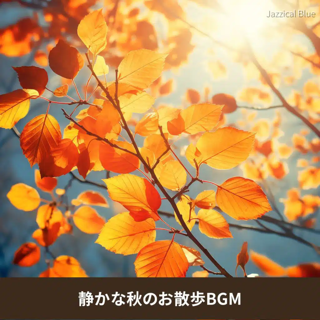 静かな秋のお散歩BGM