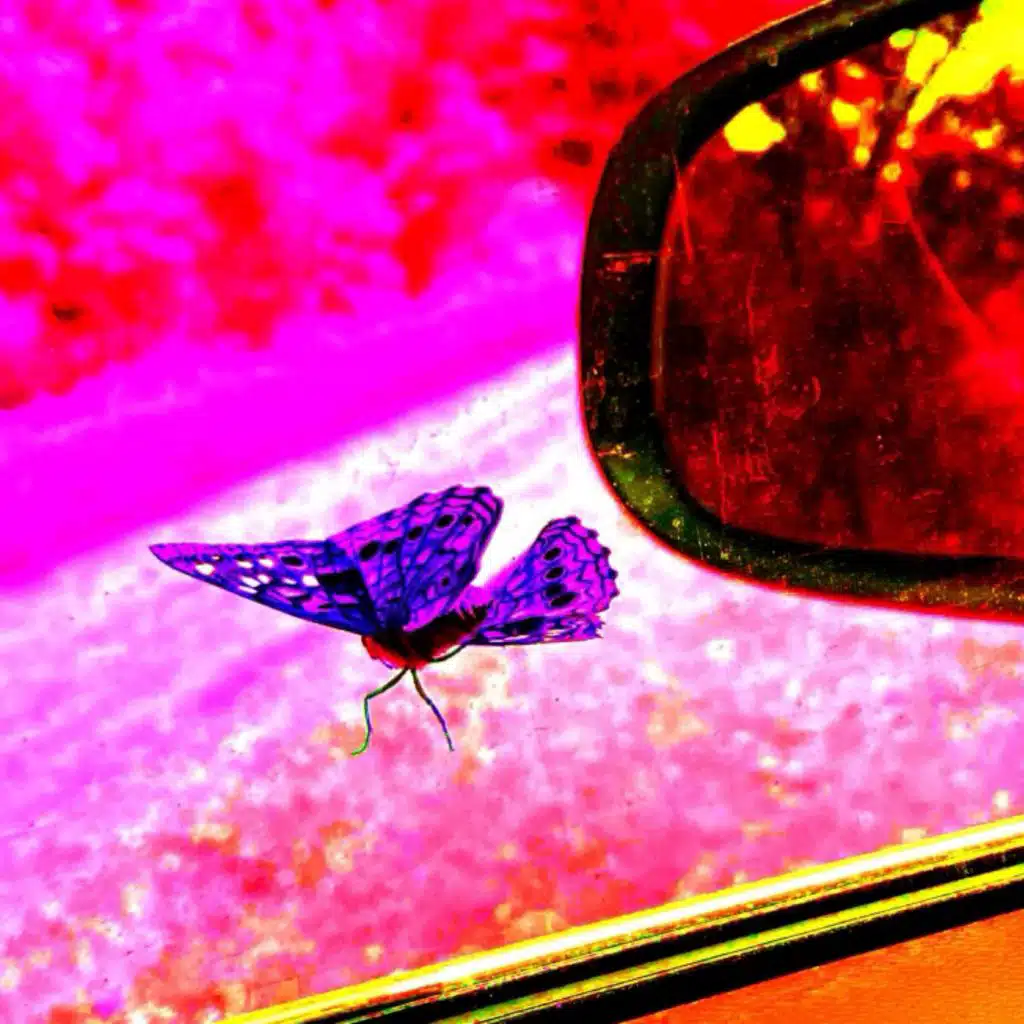 Bless (feat. BassWookie)