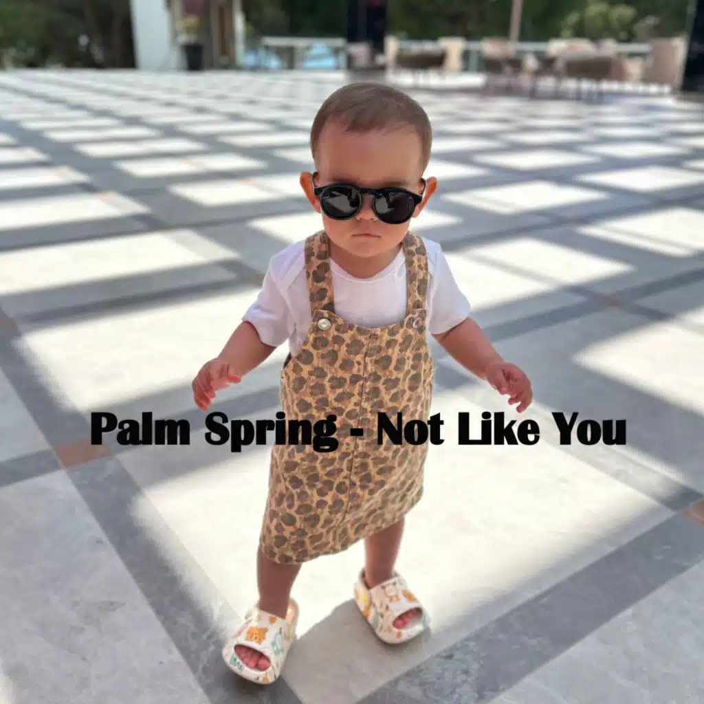 Palm Spring
