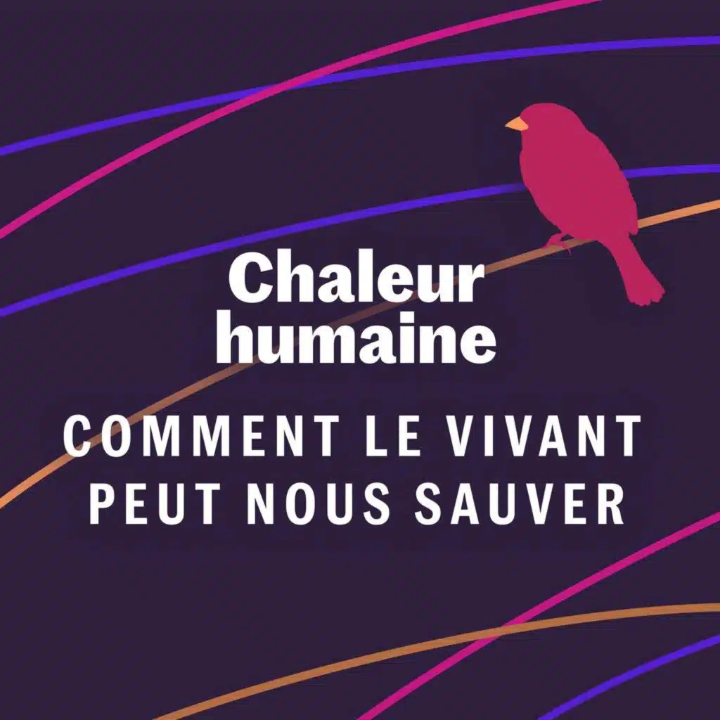 Le moineau - Comment le vivant peut nous sauver (5/6)