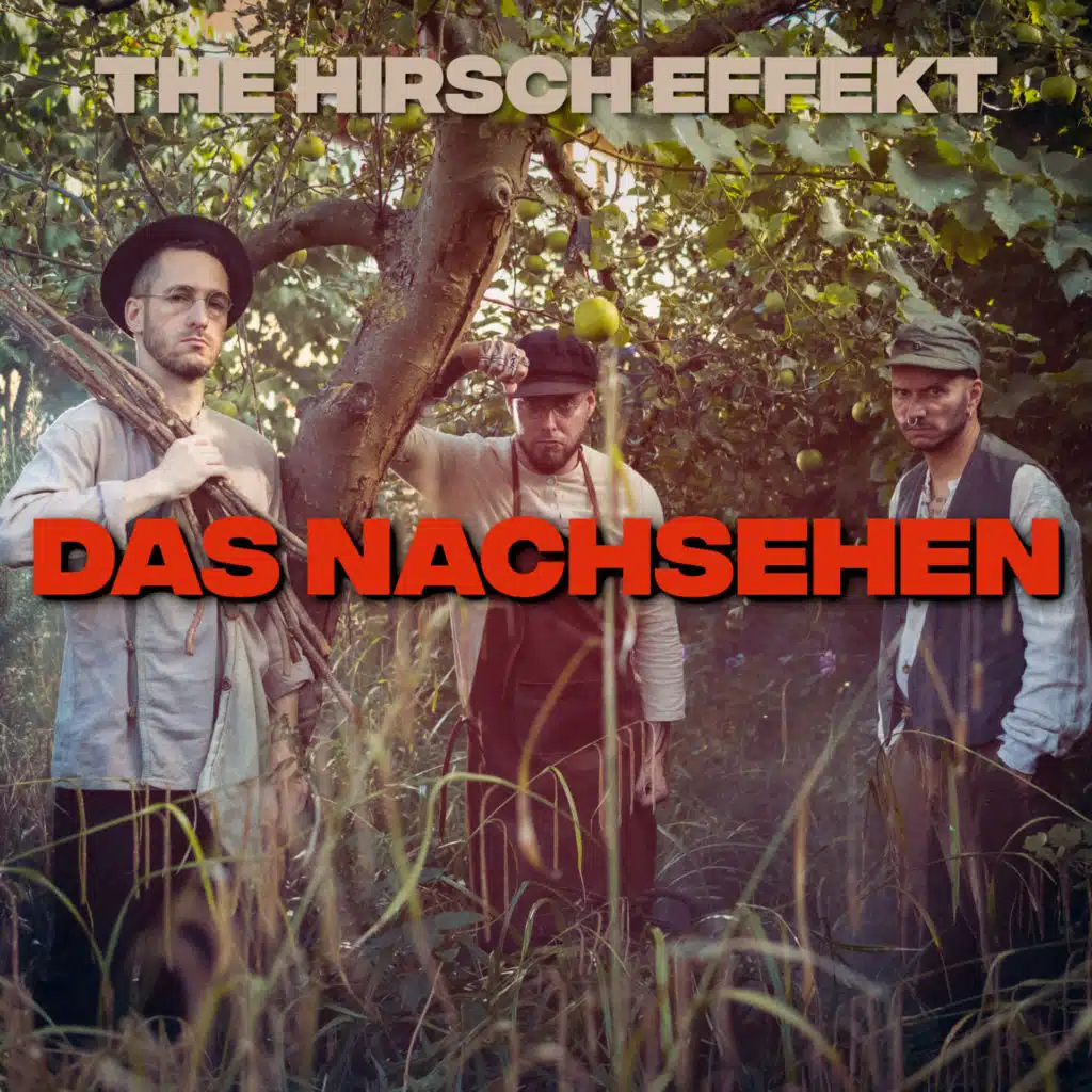 The Hirsch Effekt