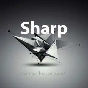 Sharp Electro House Tunes