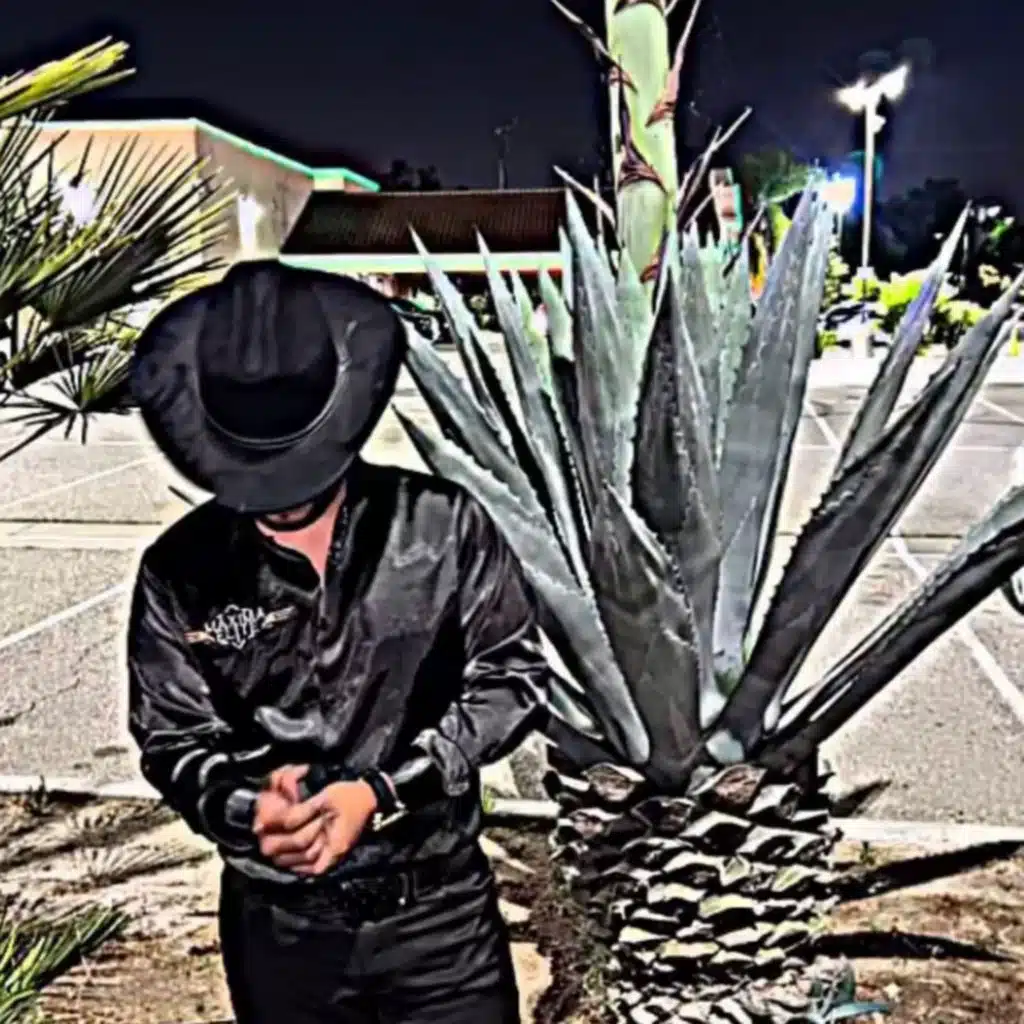 En Vivo Desde San José, Ca