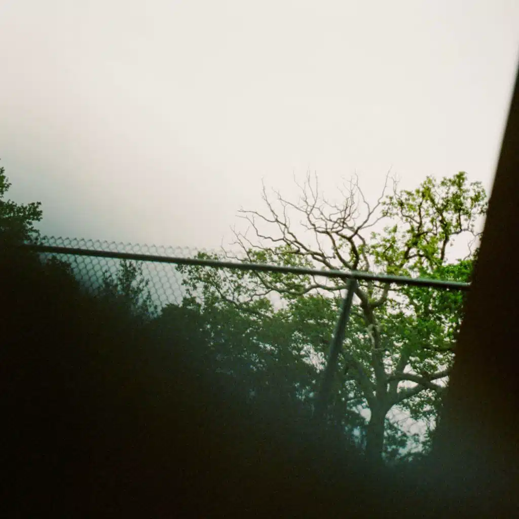 Something In The Water