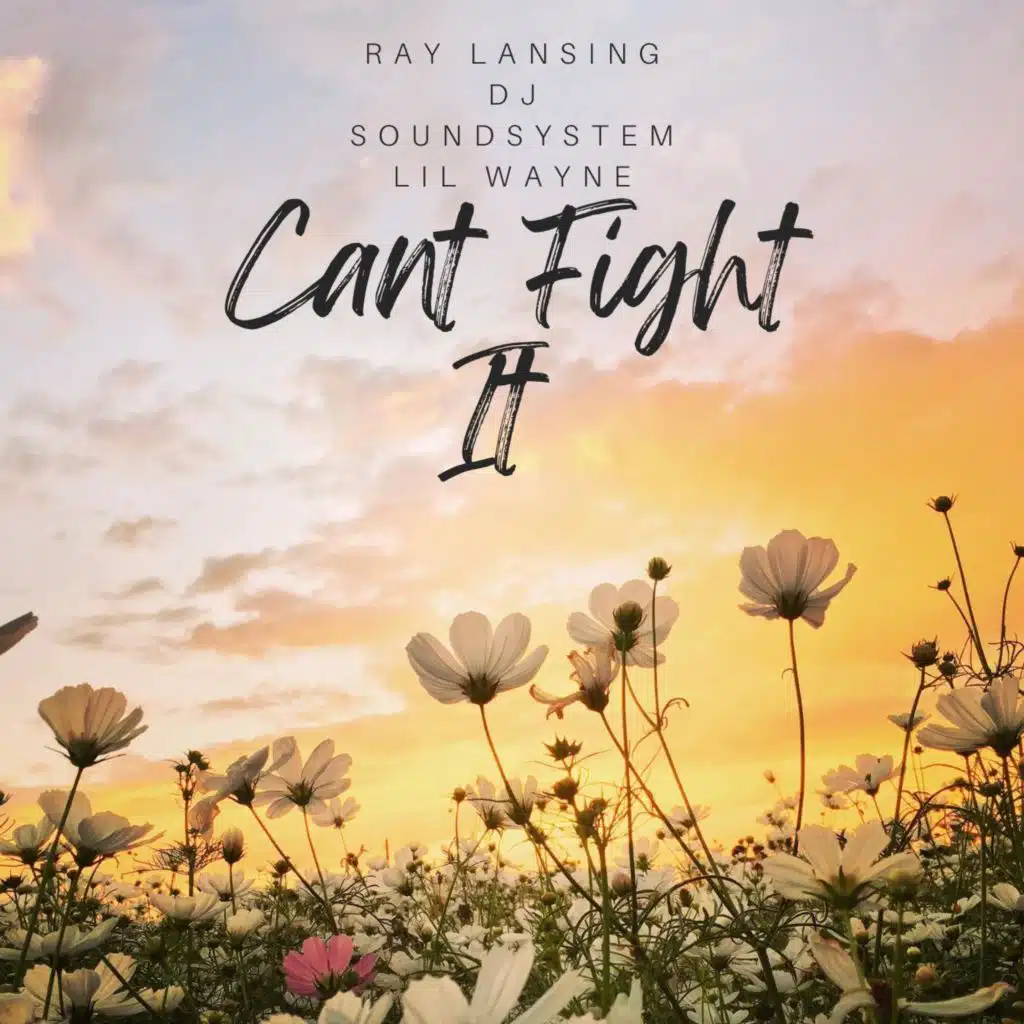 Can’t Fight It (feat. Lil Wayne)