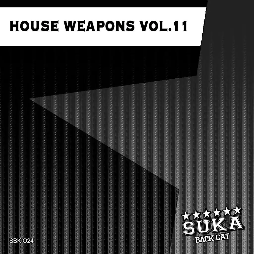 House Weapons, Vol. 11