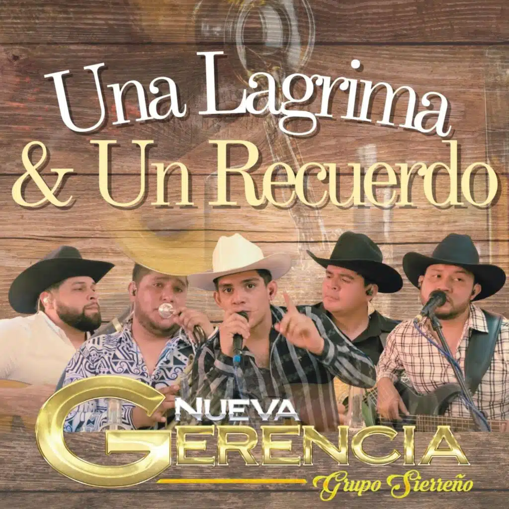 Nueva Gerencia