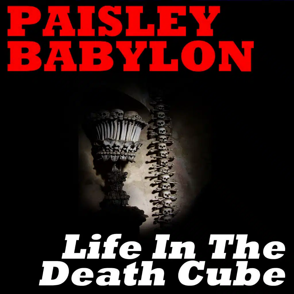 Life in the Death Cube