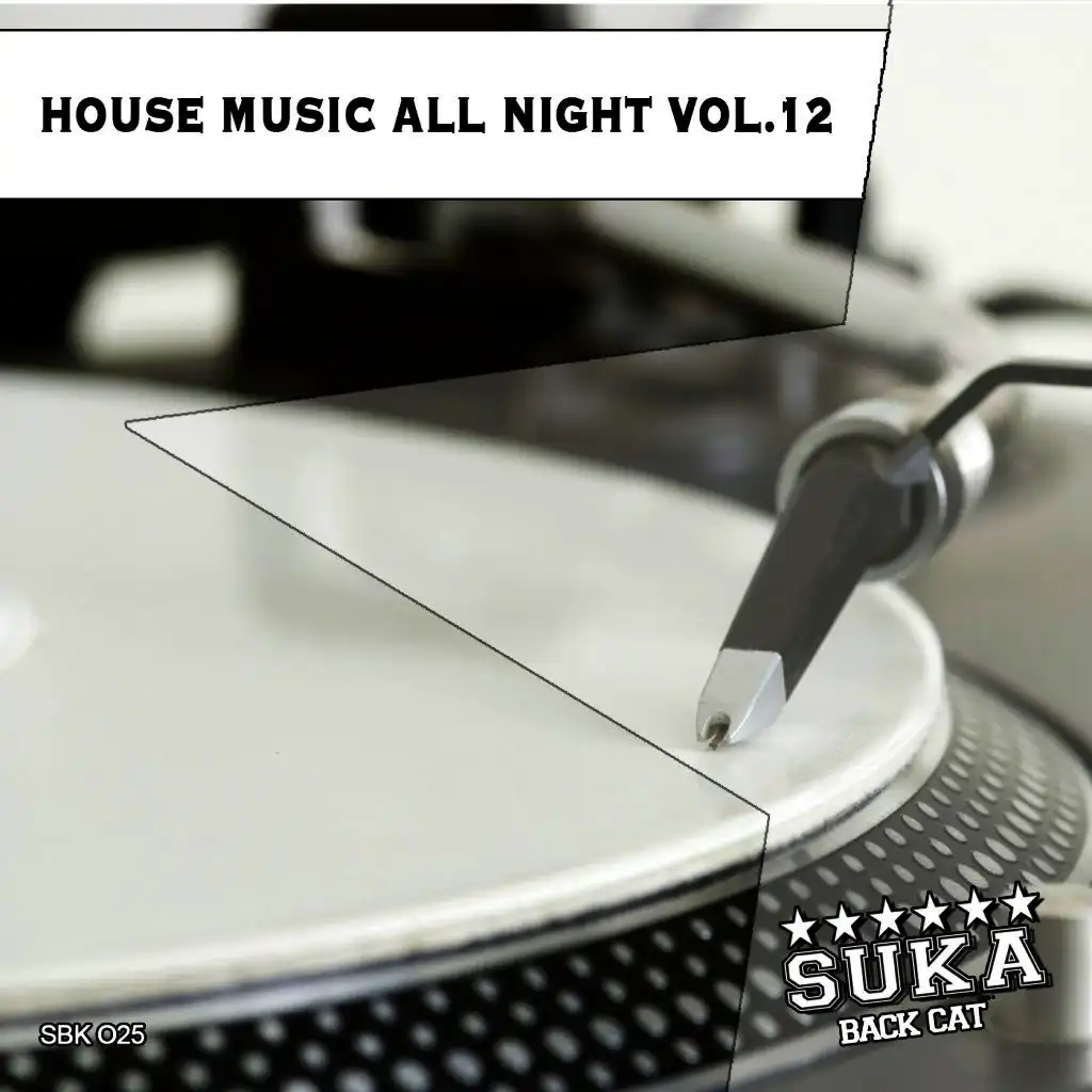 House Music All Night, Vol. 12