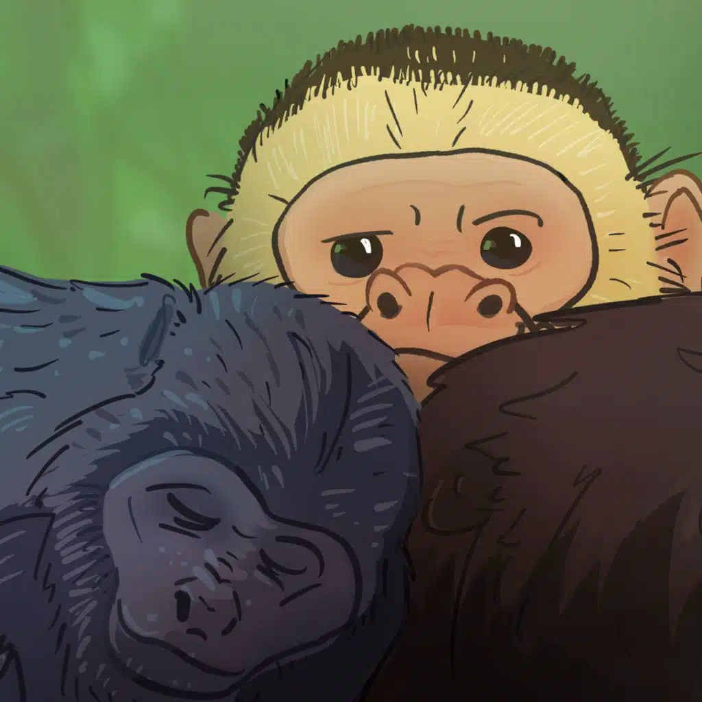 Monkey Mystery: The Case of the Capuchin Kidnappers