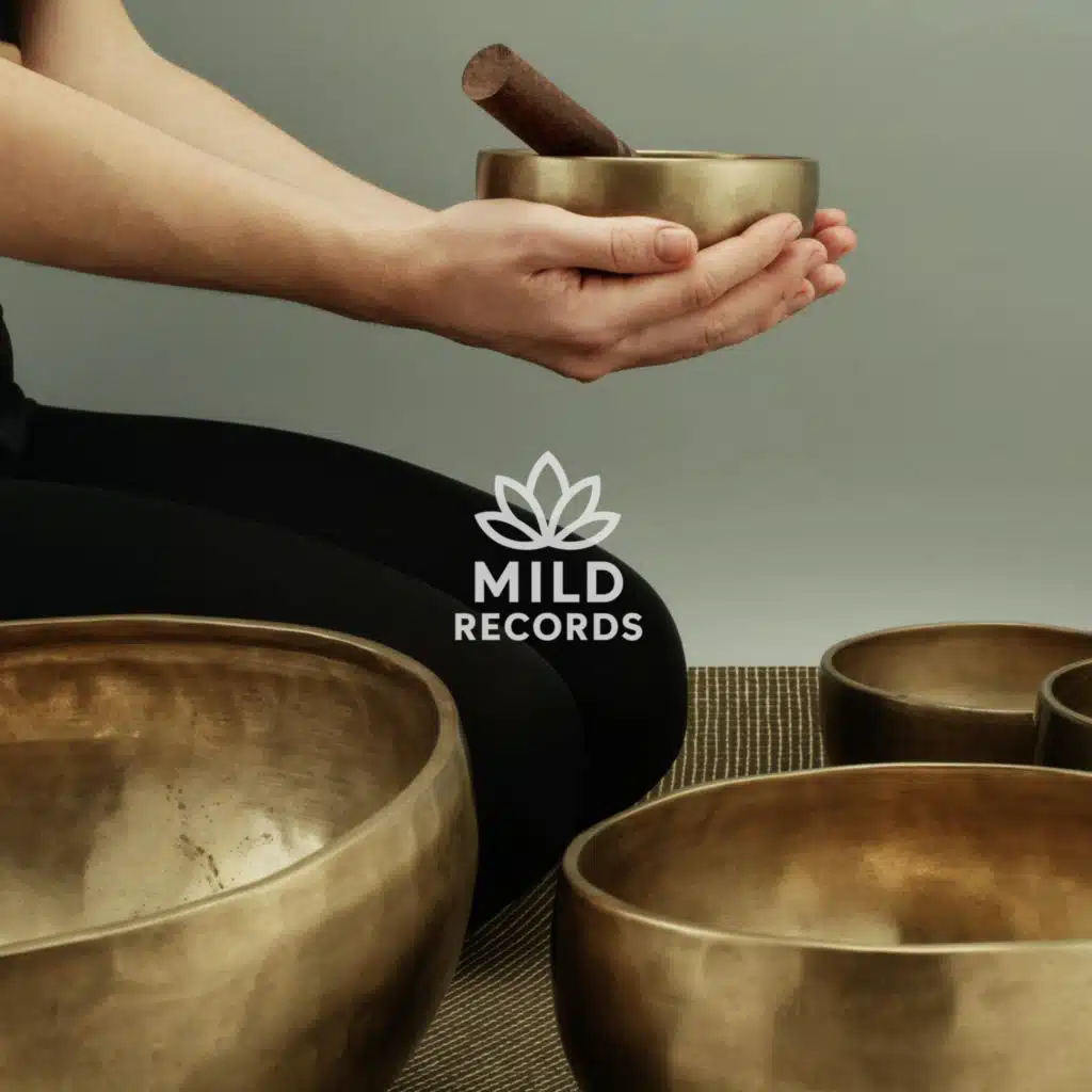 Harmonia e Paz com Taças Tibetanas