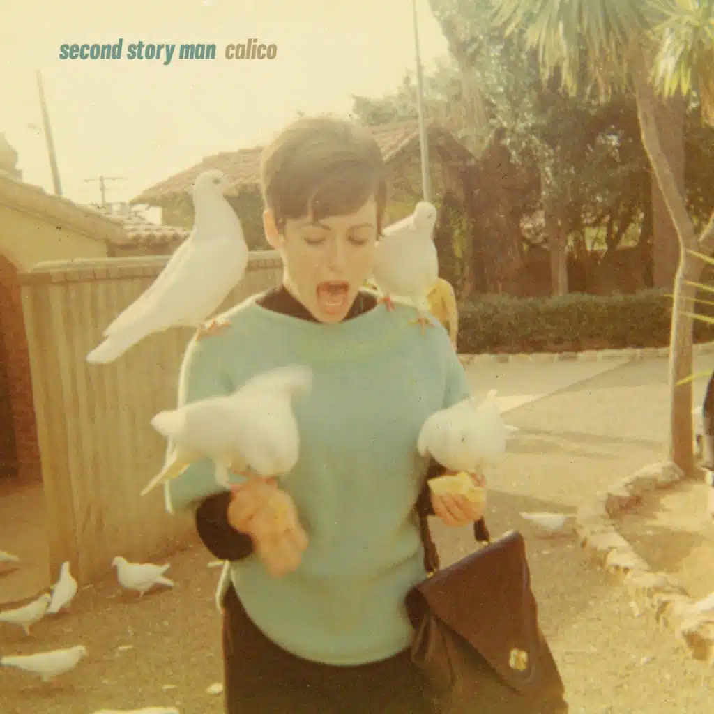 Second Story Man