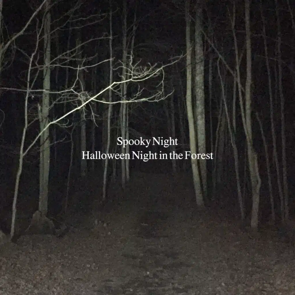 Halloween Night in the Forest