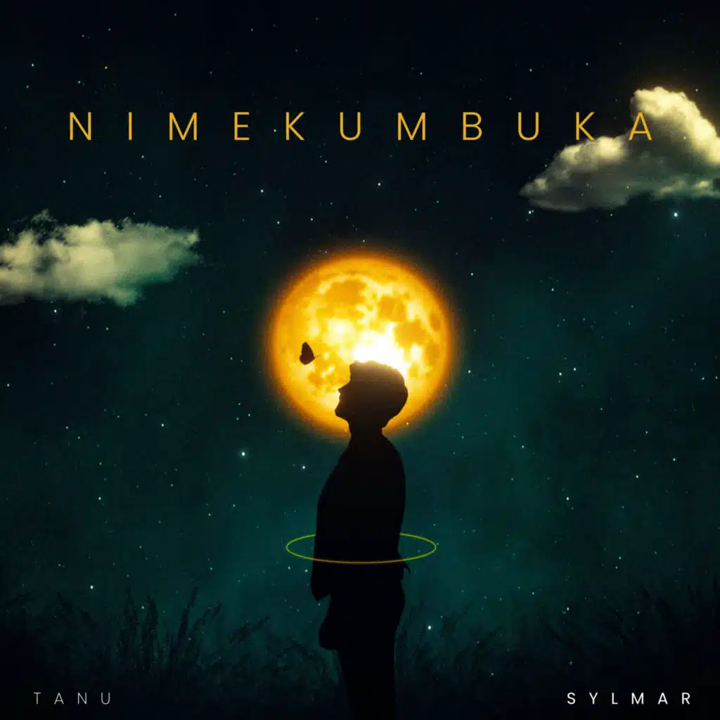Nimekumbuka (feat. Sylmar)