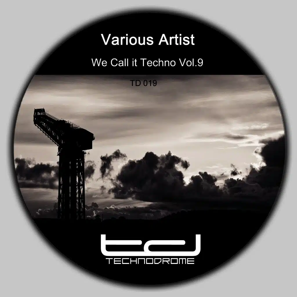 We Call It Techno, Vol. 9