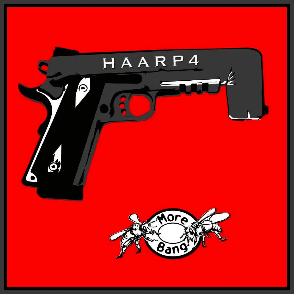 Haarp4