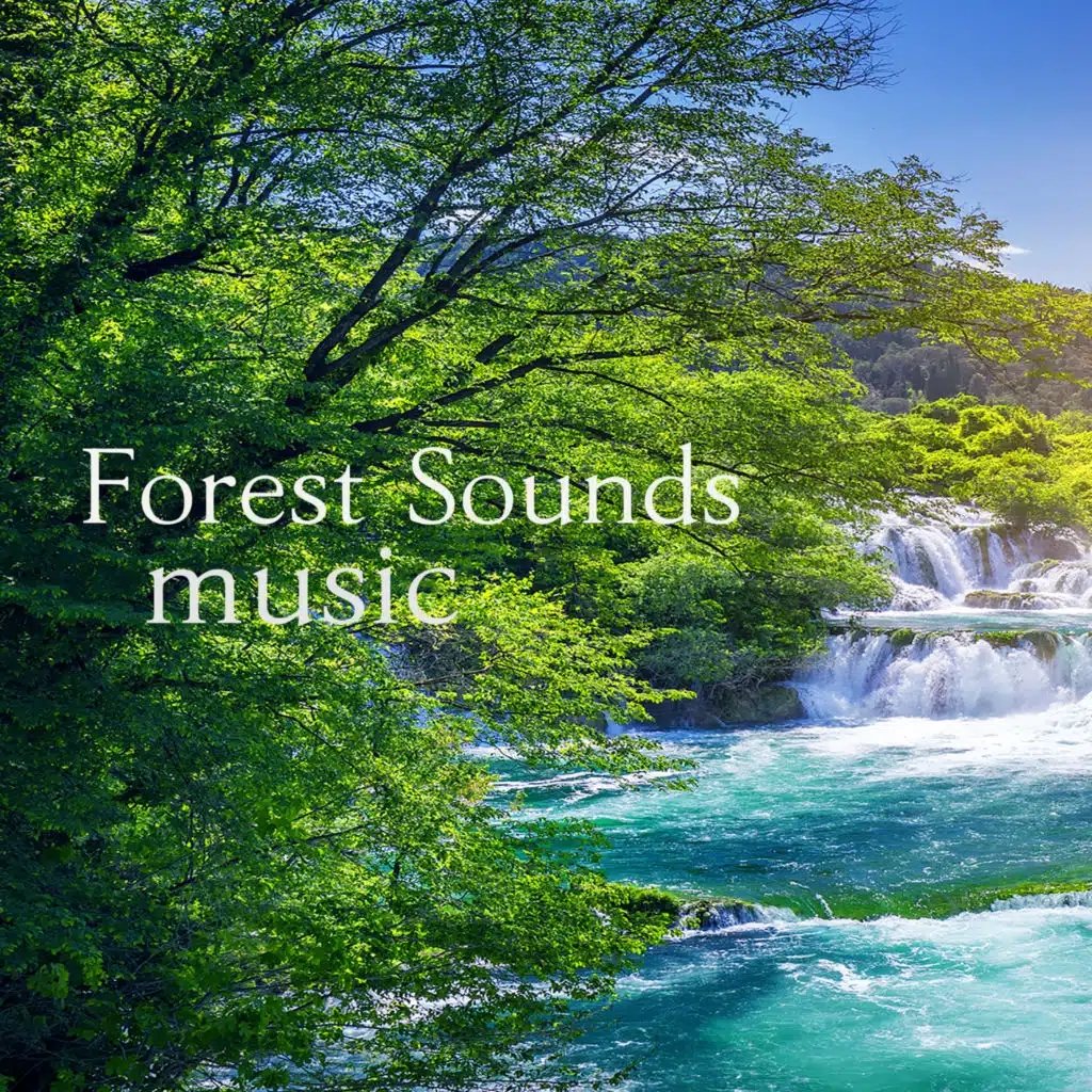 요정의 숲 (빗소리)