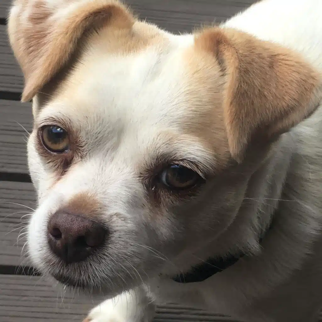 The Evil One aka Shady S