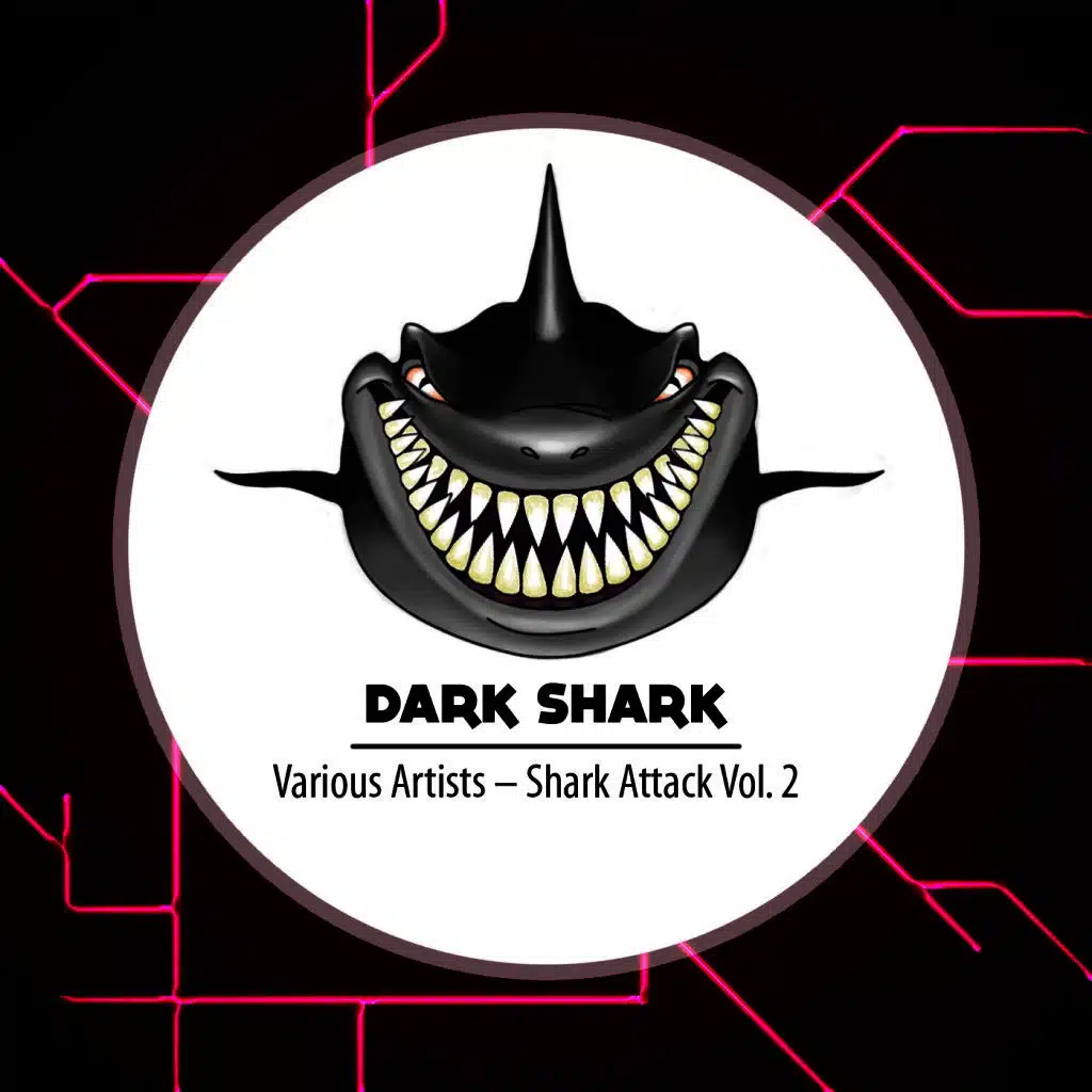 Sandman (Frank Kvitta Remix)