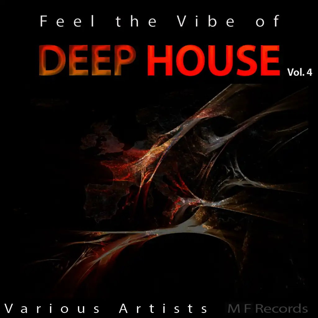 Feel the Vibe of Deep House, Vol. 4