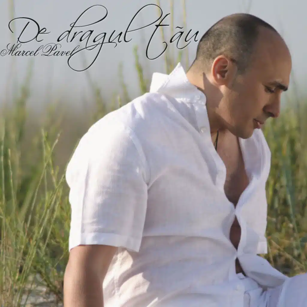 Pentru o seara (feat. LAVINIA)