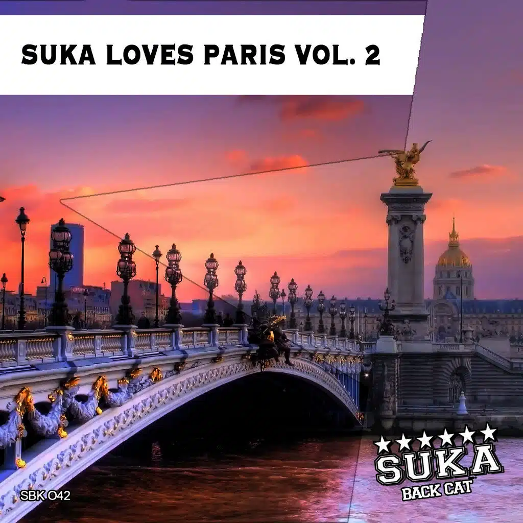 Niko De Luka & Brown Sugar Feat Terri .B!