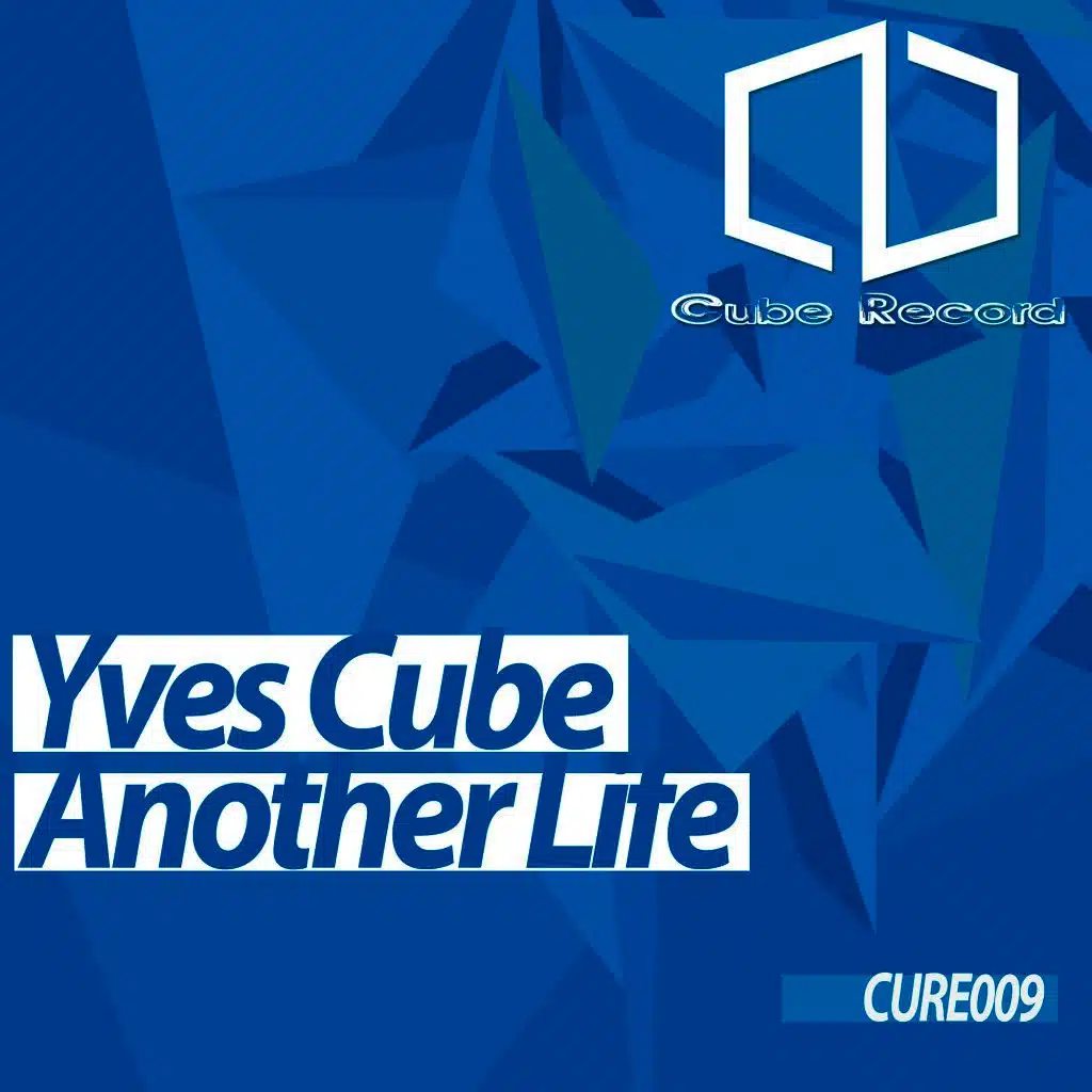 Another Life