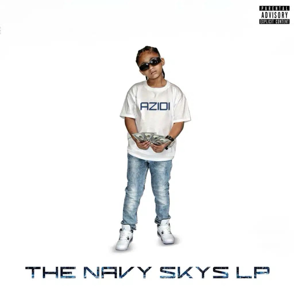 The Navy Skys Lp