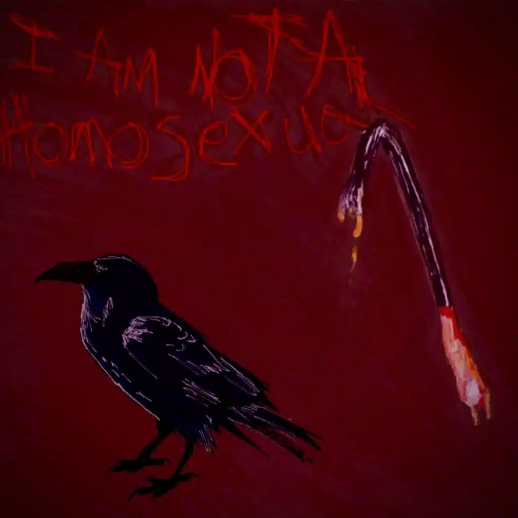 I Am Not A Homosexual