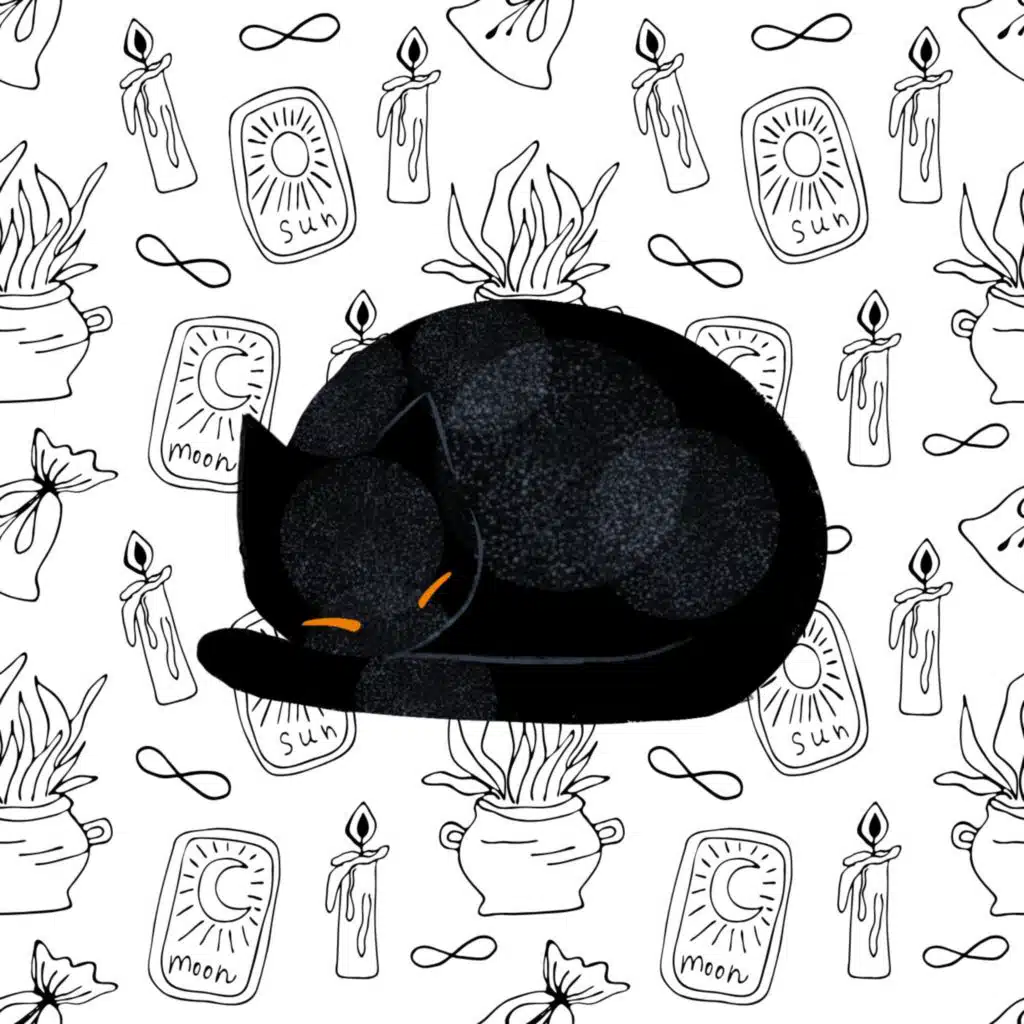 Magical Adviced From A Witch's Familiar