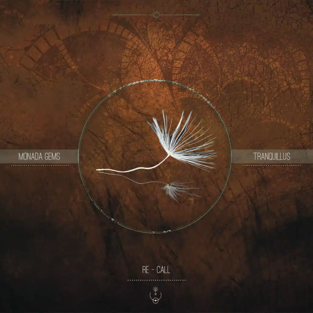 San Miguel & Soneiro Collective