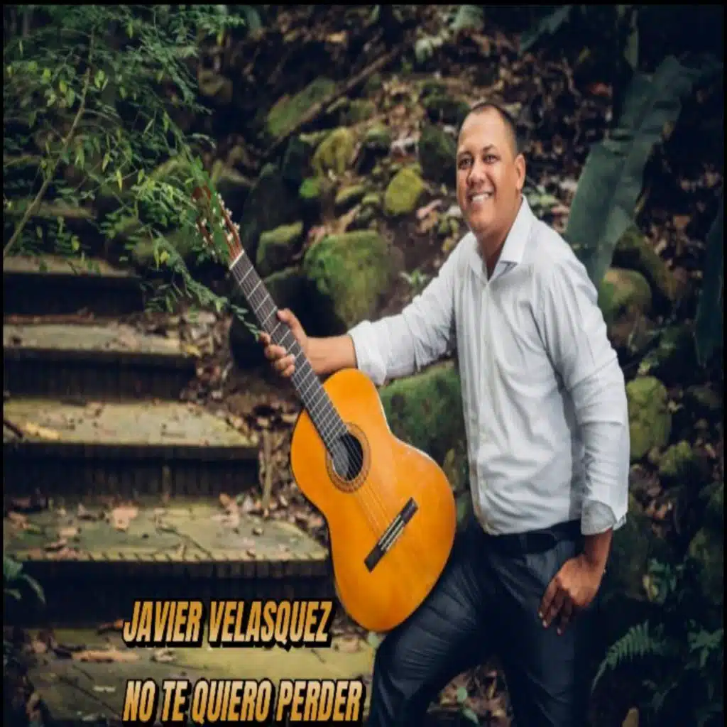 NO TE QUIERO PERDER (Live)