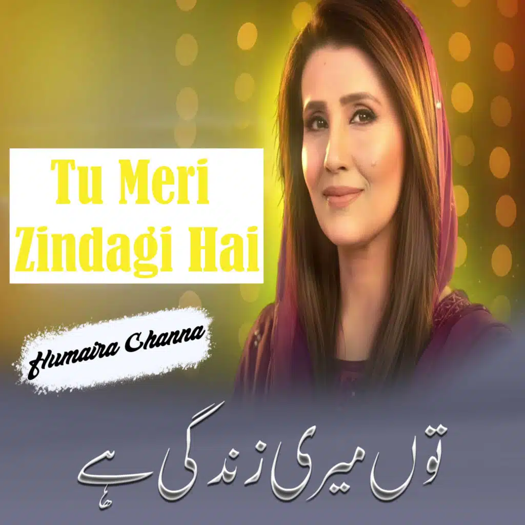 Tu Meri Zindagi Hai