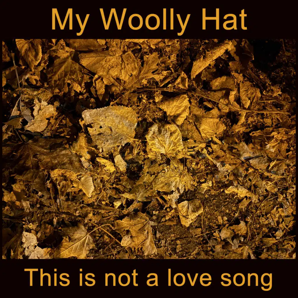 My Woolly Hat