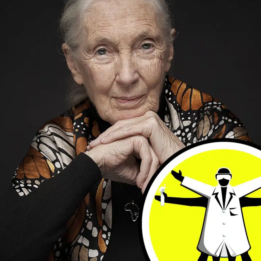 Embryos made from skin cells, and remembering Jane Goodall