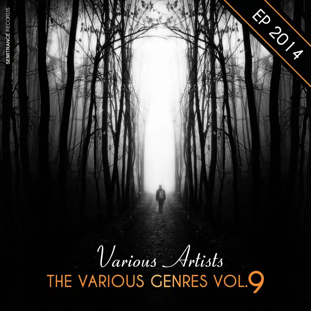 The Various Genres 2014 EP, Vol. 9