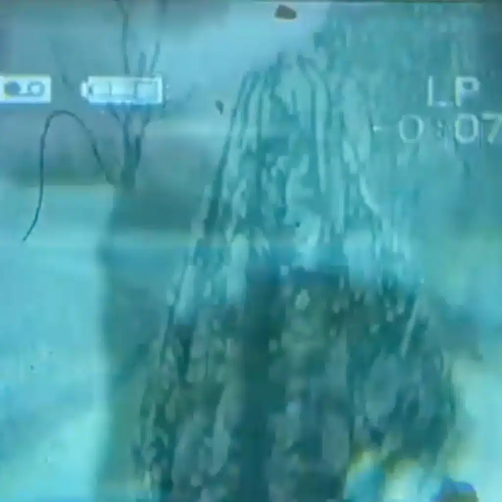 Ghouls / Play Dead / Après Minuit