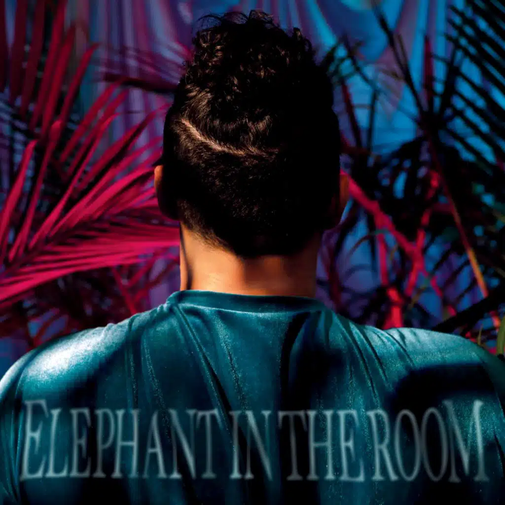 ELEPHANT IN THE ROOM (feat. Alani iLongwe as Dr. Marvelous) (Radio Edit)