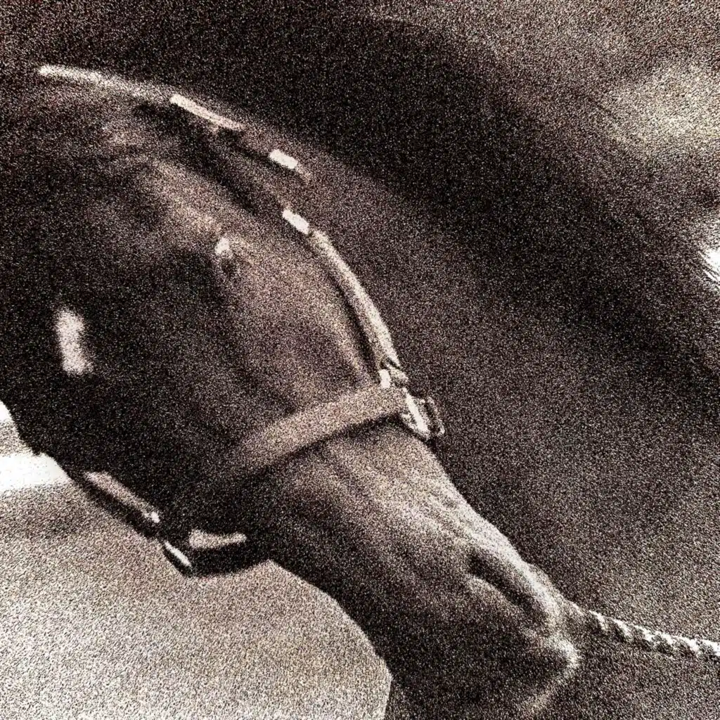 Nothing, An Infinity