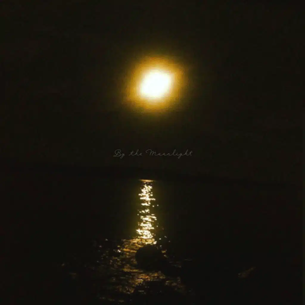 By the Moonlight