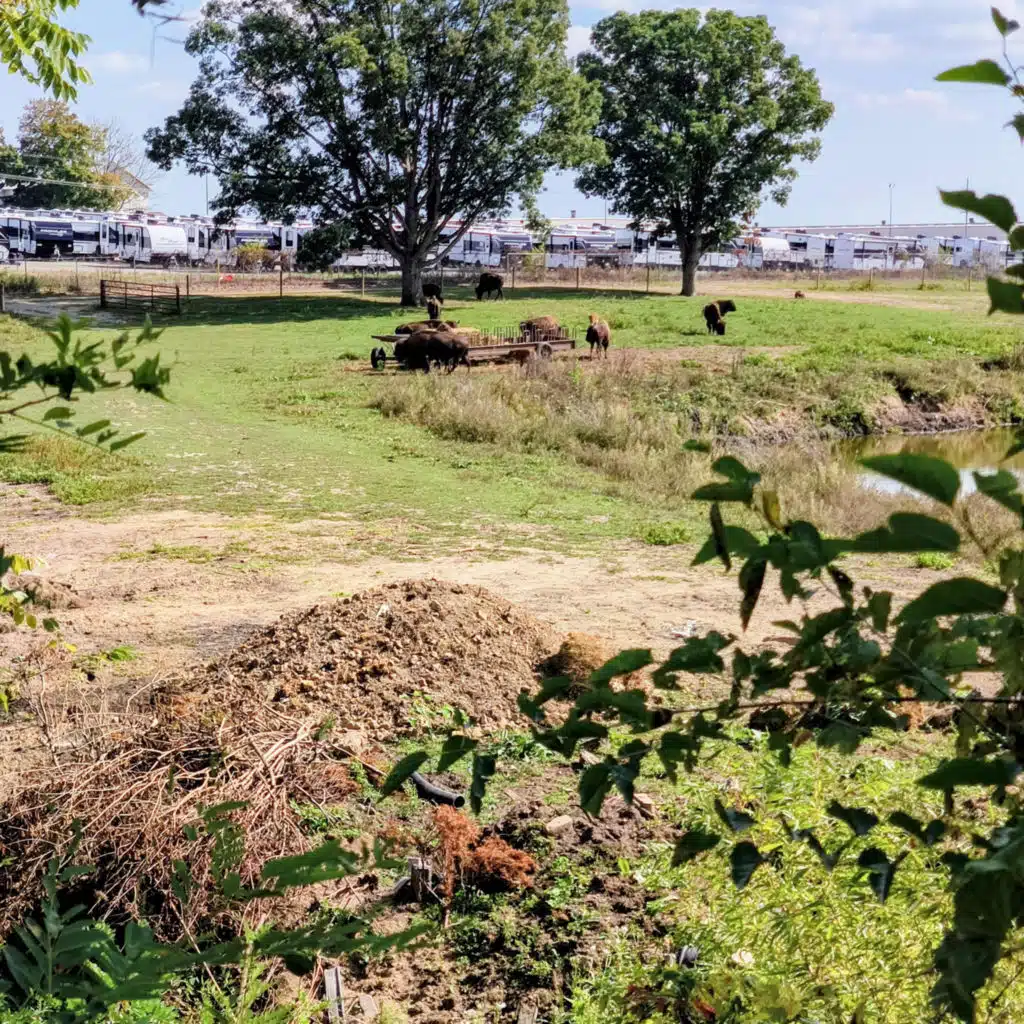 No Darkness Without Light