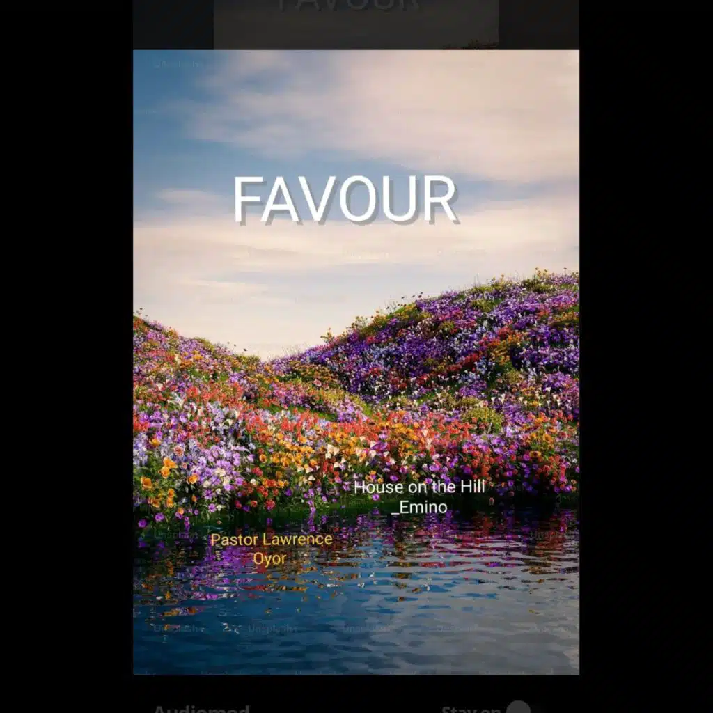 FAVOUR ANEW (feat. Lawrence Oyor)