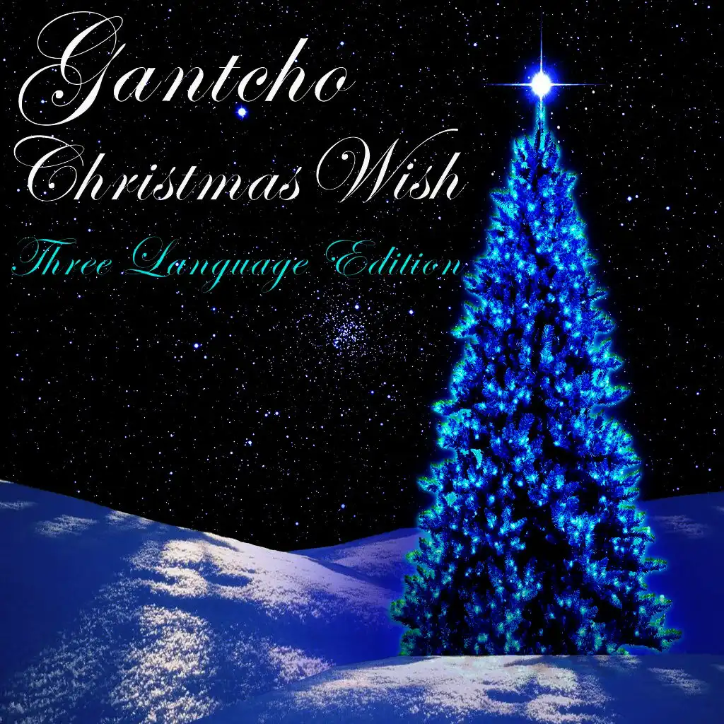 Christmas Wish (Three Language Edition)