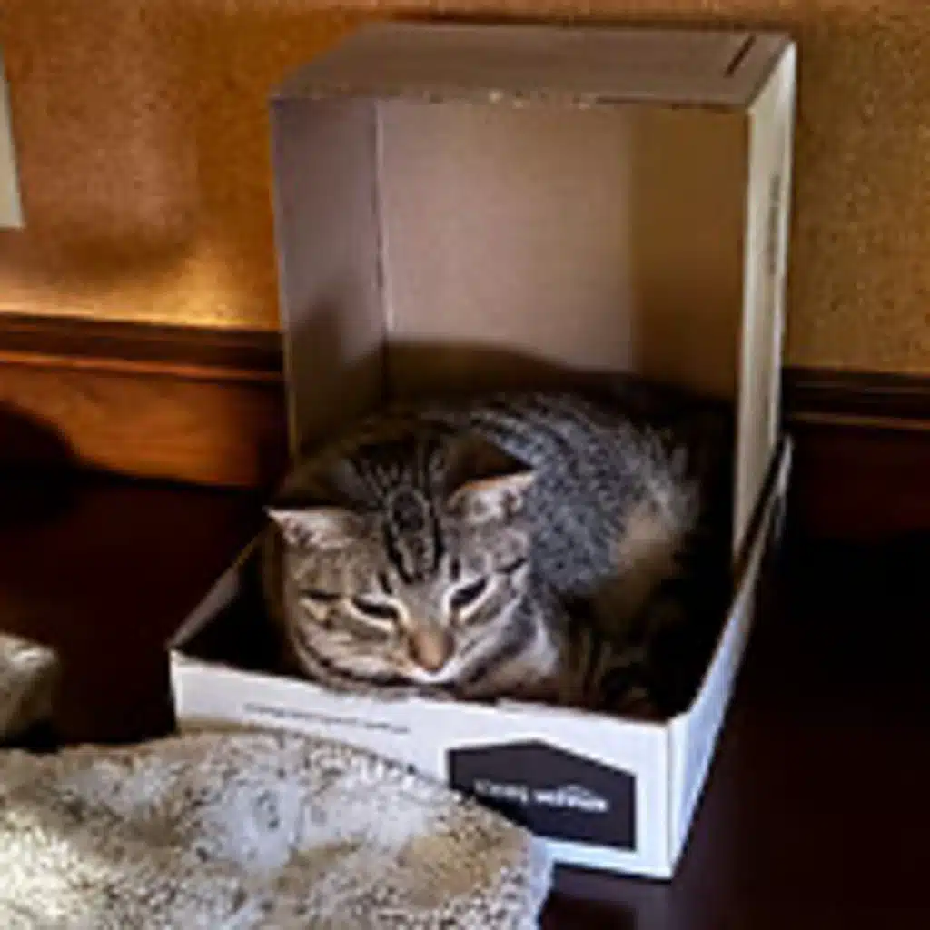 Episode 2978 CWSA 10/04/25