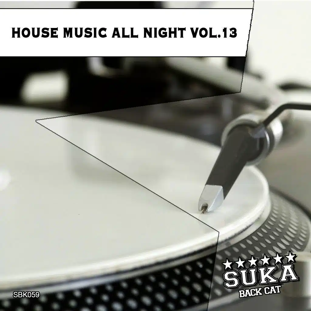 House Music All Night, Vol. 13