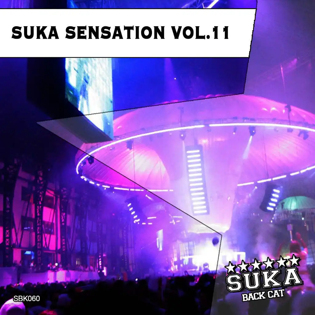 Suka Sensation, Vol. 11