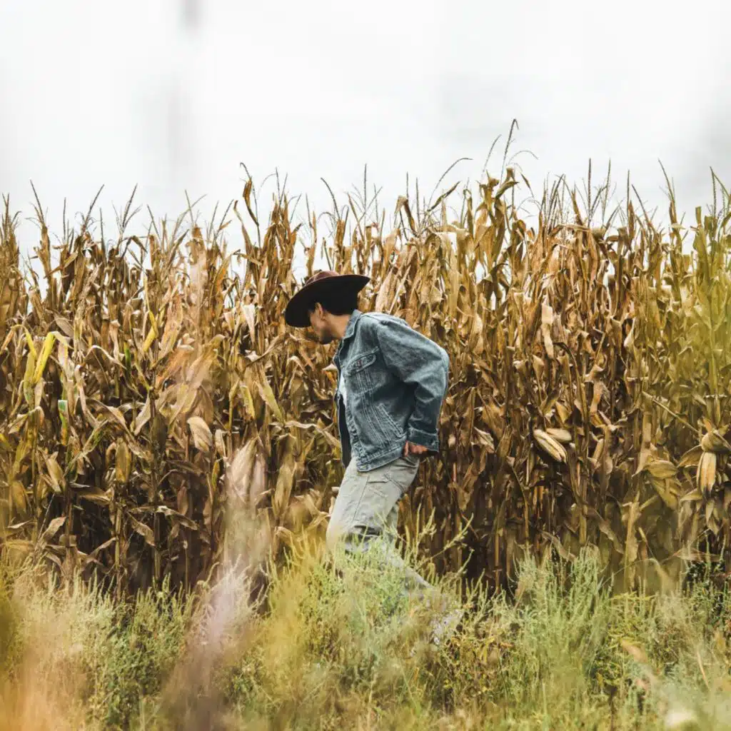 Corn Sweat (Spanish Version)