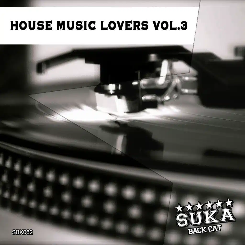 House Music Lovers, Vol. 3