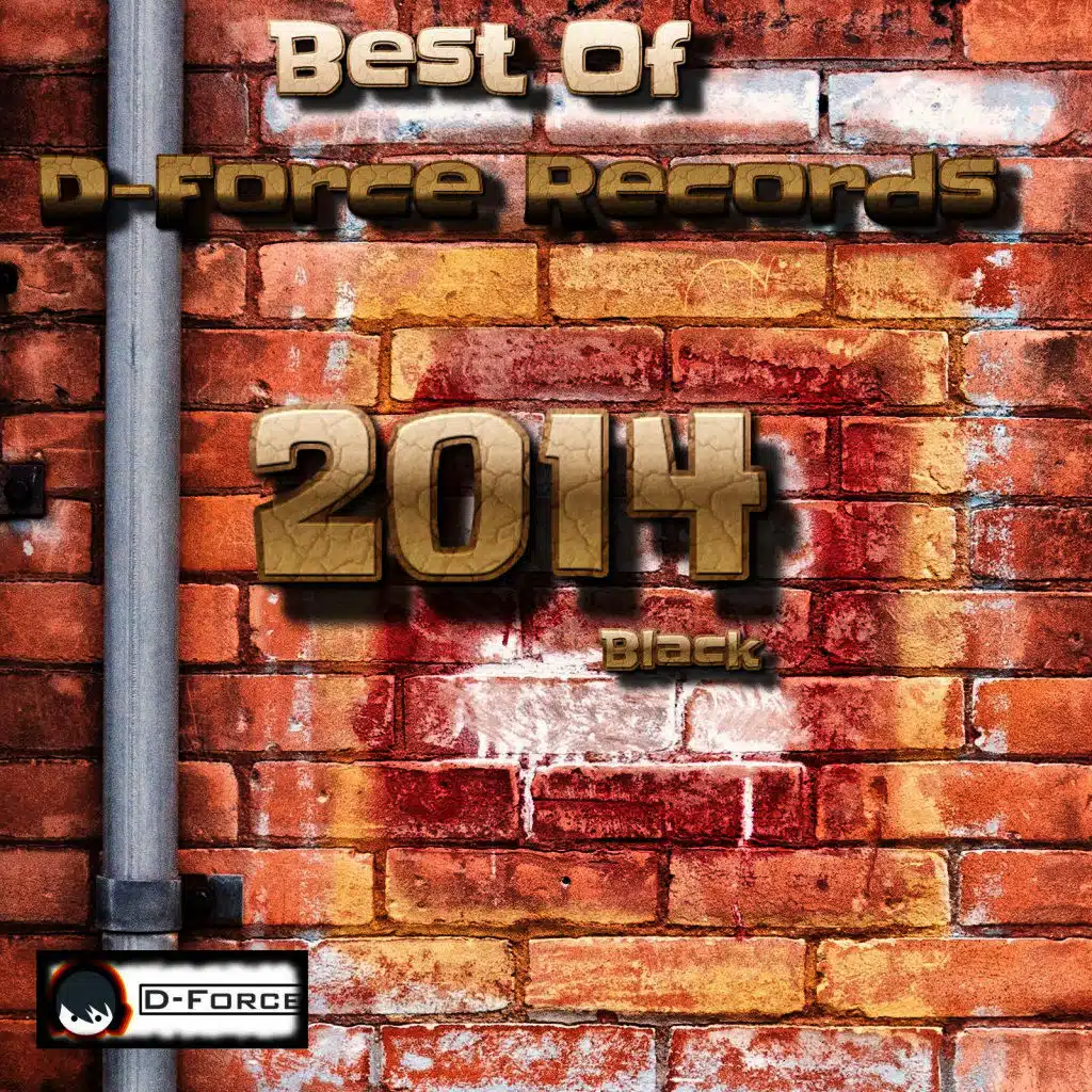 D-Force Records 2014 Black