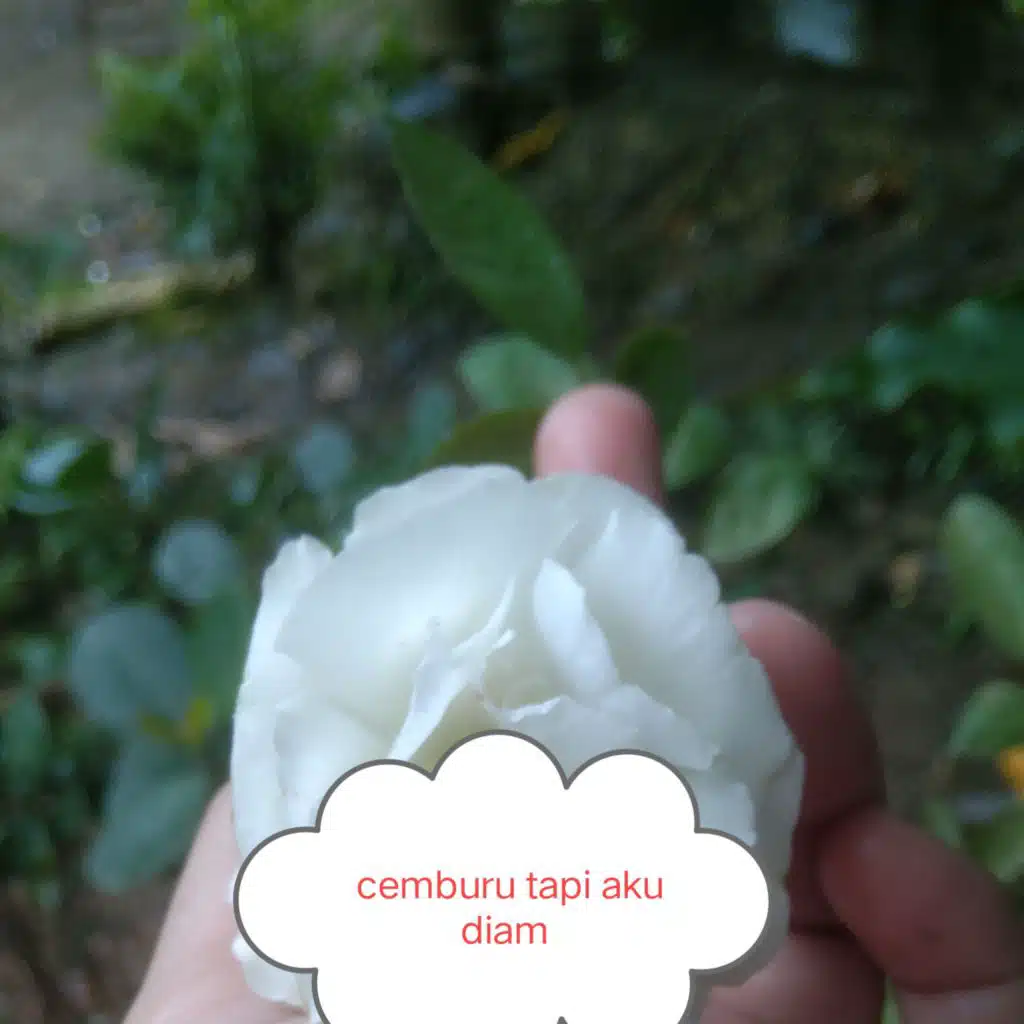 Cemburu tapi aku diam